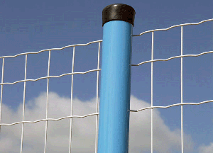 ·o(h)W(wng)İl(f)չ΄(sh)cڅ(sh)B